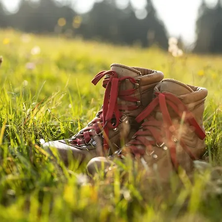 Depandansa Brinje Отель Зрече