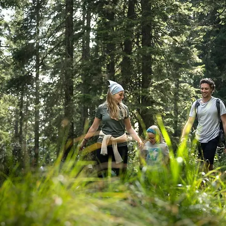 Depandansa Brinje Зрече