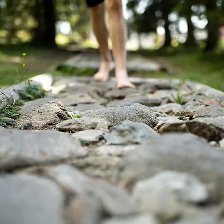 Отель Depandansa Brinje