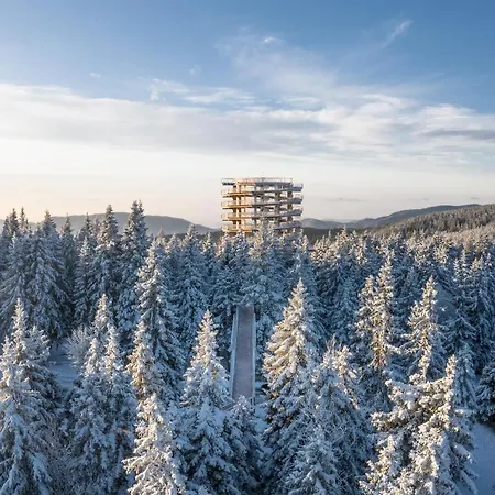 Depandansa Brinje Отель 3*