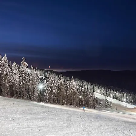 Отель Depandansa Brinje 3*