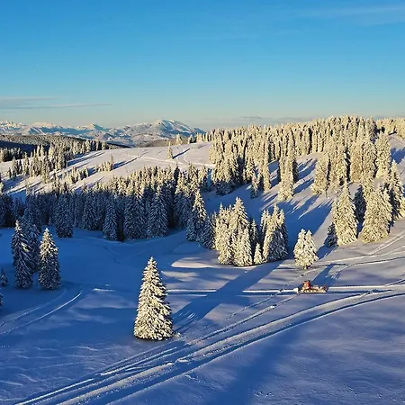 Depandansa Brinje Зрече