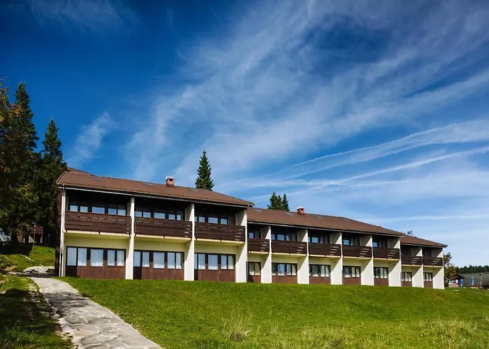 Depandansa Brinje 3*