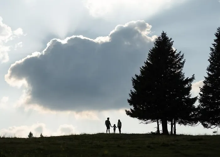 Depandansa Brinje Hotel