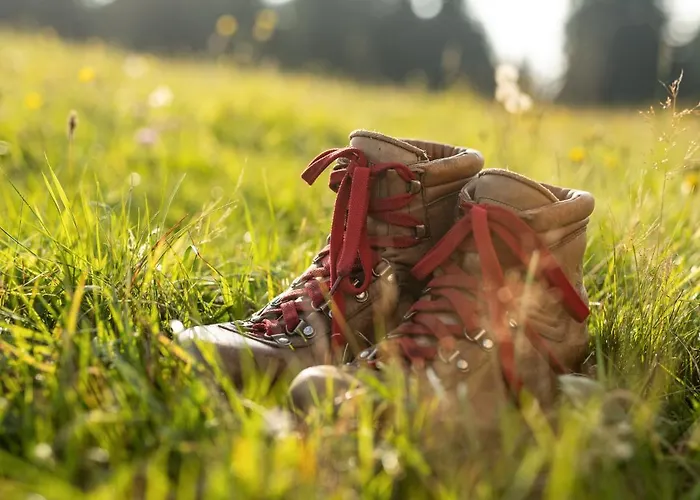 Depandansa Brinje Hotel Zreče