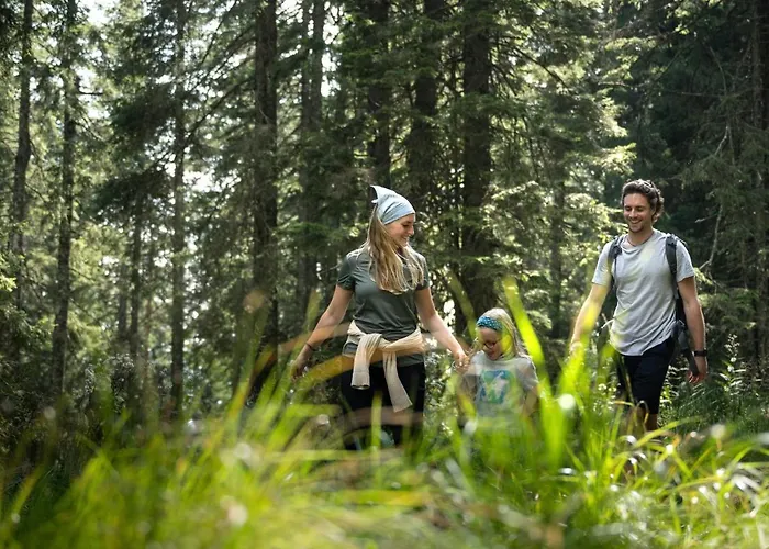 Depandansa Brinje Zreče