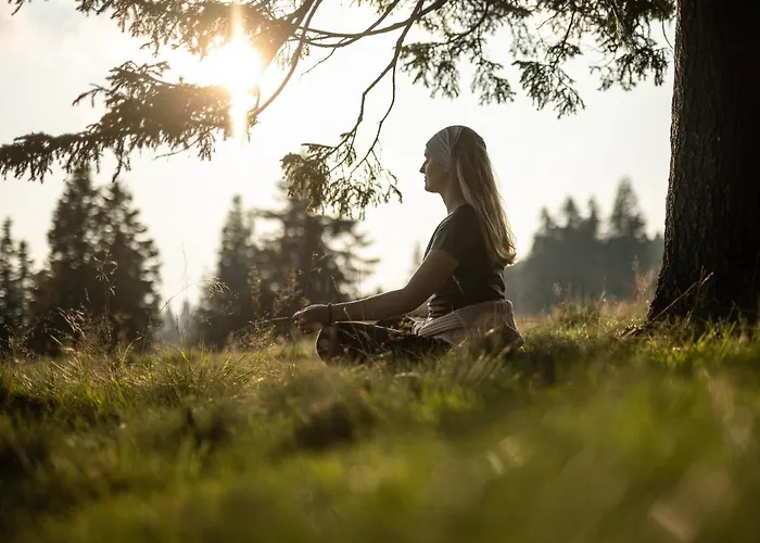 Depandansa Brinje 3*