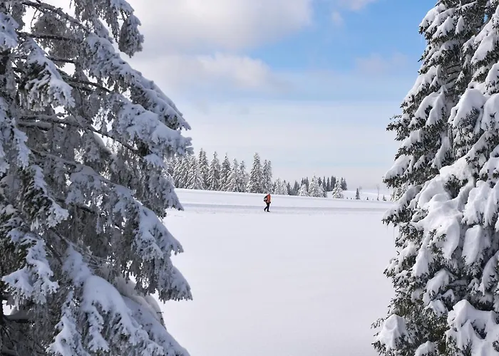 Depandansa Brinje Zreče