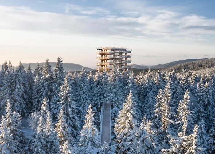 Depandansa Brinje Hotel 3*