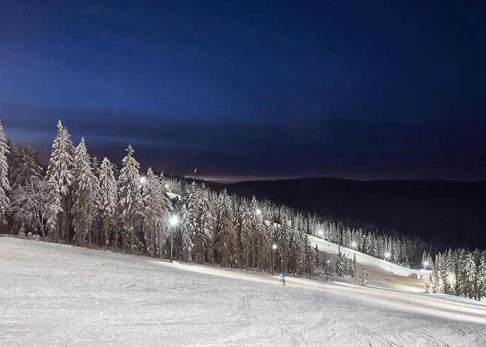 Hotel Depandansa Brinje 3*