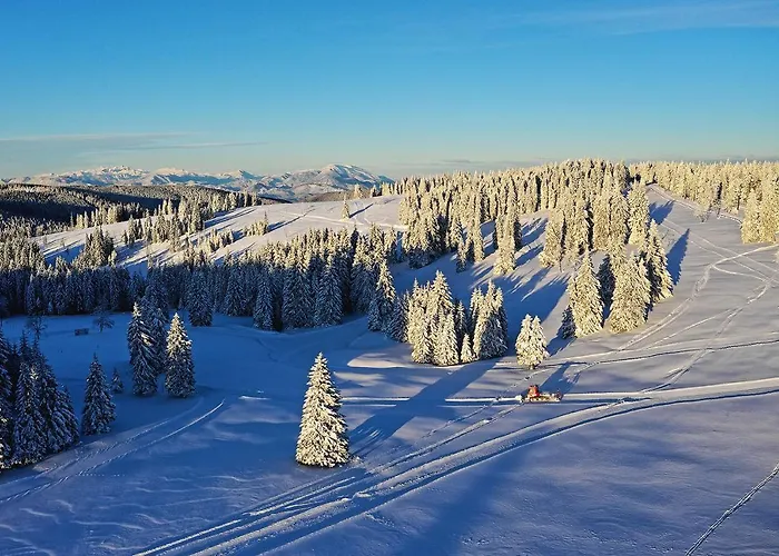 Depandansa Brinje Zreče