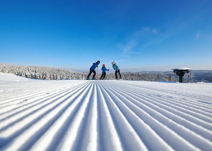Hotel Depandansa Brinje Zreče