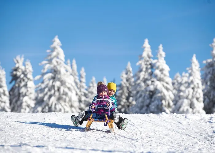 Depandansa Brinje 3*