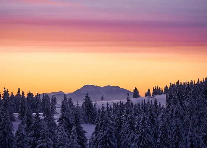 Depandansa Brinje Hotel 3*