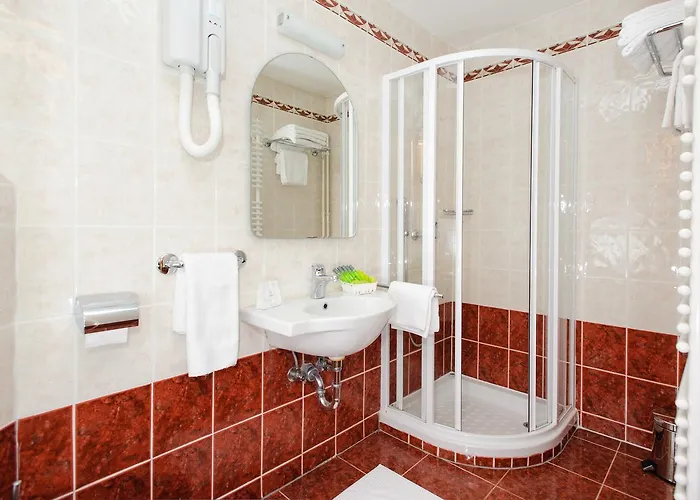 Depandansa Brinje Hotel 3*